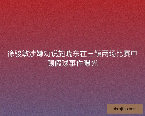 徐骏敏涉嫌劝说施晓东在三镇两场比赛中踢假球事件曝光