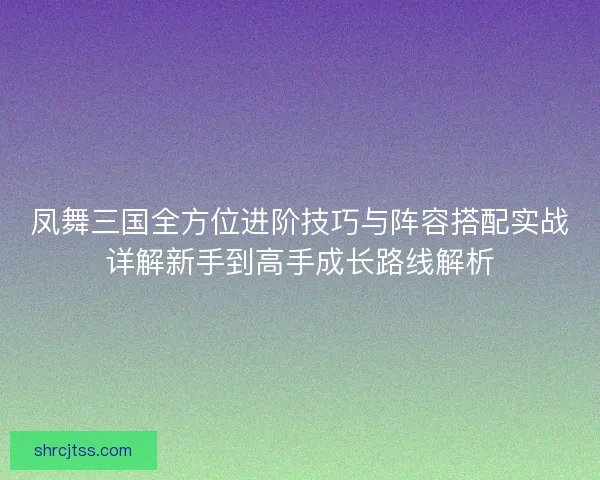 凤舞三国全方位进阶技巧与阵容搭配实战详解新手到高手成长路线解析