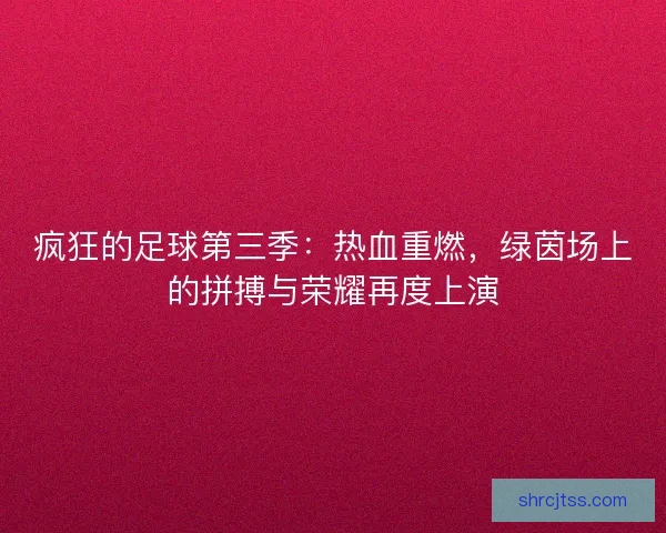 疯狂的足球第三季：热血重燃，绿茵场上的拼搏与荣耀再度上演