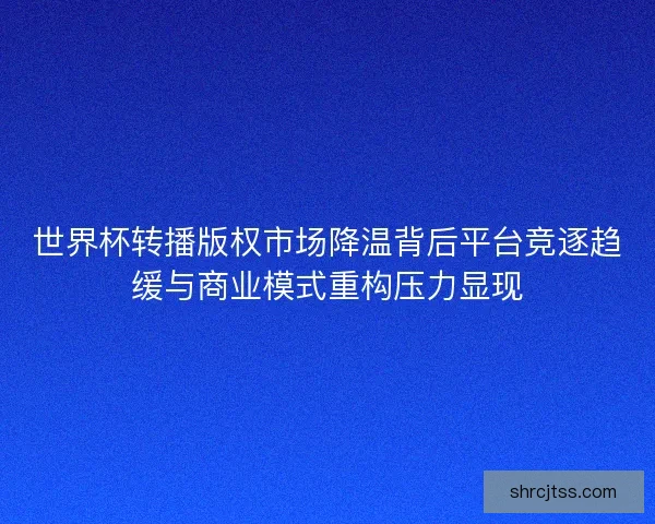 世界杯转播版权市场降温背后平台竞逐趋缓与商业模式重构压力显现