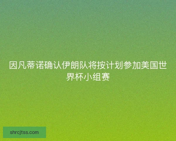 因凡蒂诺确认伊朗队将按计划参加美国世界杯小组赛